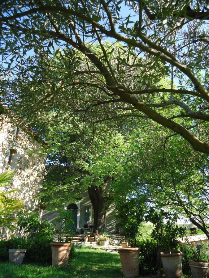 Le Vieux Tilleul Banne Exterior foto